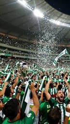 Palmeiras Campeão do Baile
