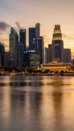 Singapore Nights
