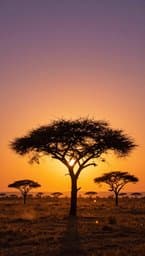 Savanna Rhythm