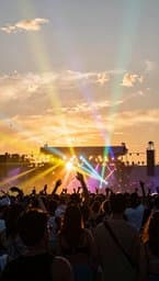 Summer Euphoria Nights