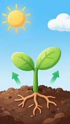 La Canción de las Plantas