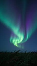 Borealis Breeze