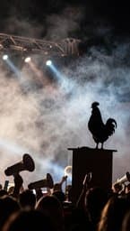 El Gallo