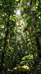 Selva Vibrante
