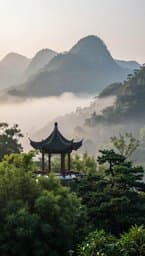 Silk & Mist