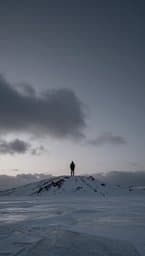Frozen Weight