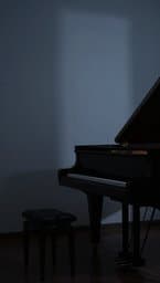 Silent Echoes