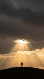 Light Through the Rain