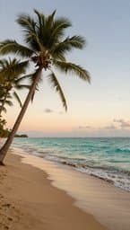 Island Breeze