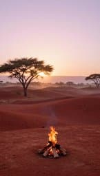 Ngurra Panya