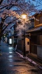 Tokyo Rainy Afternoon