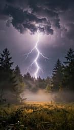 Sudden Shout