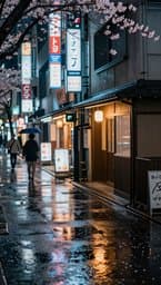 Tokyo Rainy Afternoon