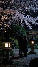 Garden Night