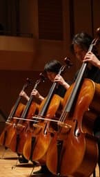 Cello Veins