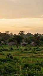 Barakau Hanuana