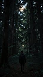 Lights in the Dark