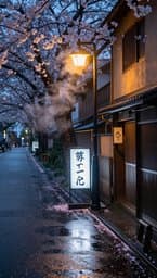 Tokyo Rainy Afternoon