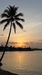 Gentle Lagos