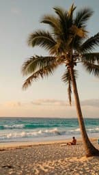 Island Sway