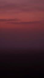 Velvet Dusk
