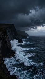 The Coast