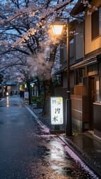Tokyo Rainy Afternoon
