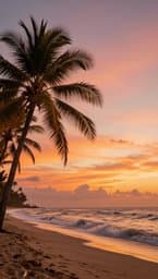 Tropical Sunset Groove