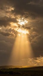 Shadow of Wings: Psalm 91