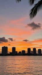 Miami Love