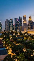 Lion City Soul