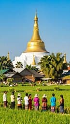 သာယာတဲ့ ဝါးရုံးစွန်း