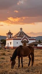 Bartolo's Horses