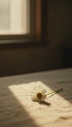 Wistful Petal