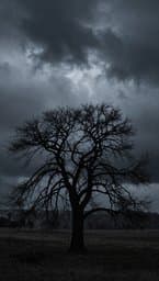 Distorted Melancholy