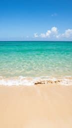 Sunshine Tide