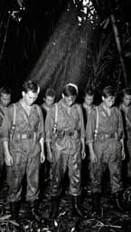 Vietnam Brotherhood