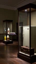 El Museo de las Cosas que se Fueron