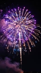 Firework