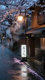 Tokyo Rainy Afternoon