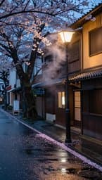 Tokyo Rainy Afternoon