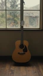 Acoustic Shadows