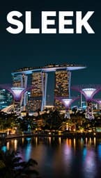 Lion City Flow