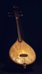 Tanpura Void