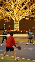 The 12 Months of Pickleball