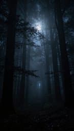 Whispers in the Dark