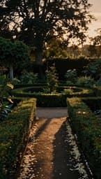 Silent Garden