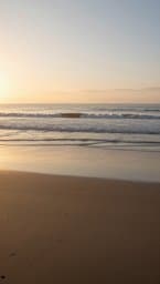 Morning Tide Interview