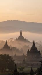 Morning Awakening