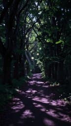 Shadow Pulse